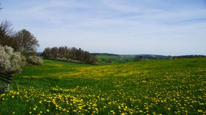 Draußen sein